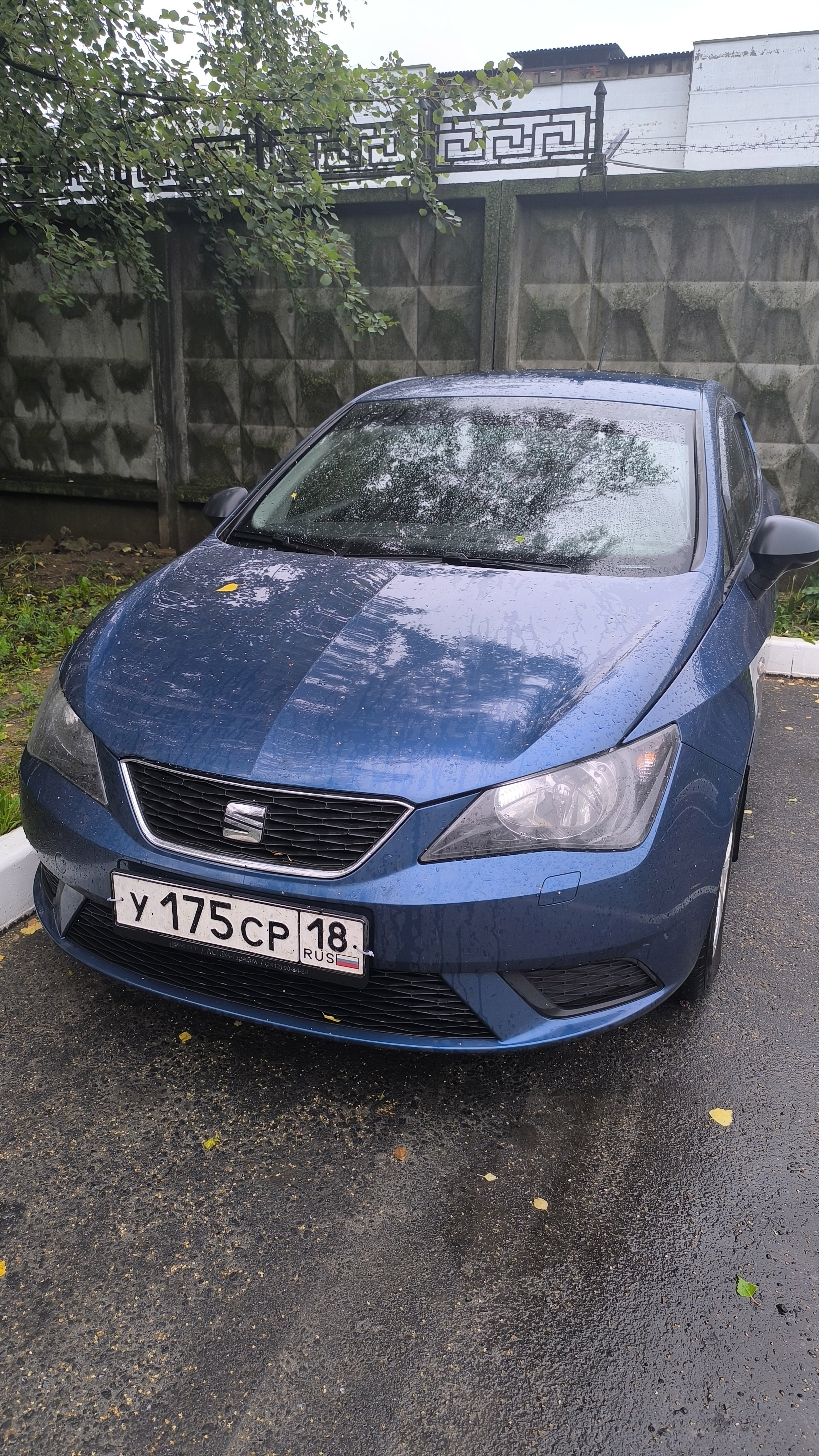 Автомобиль 2014 SEAT Ibiza, поездка Новочебоксарск — Канаш